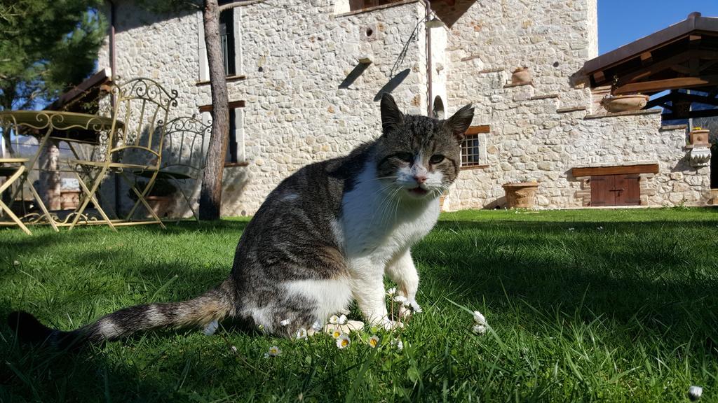 פרנטילו Agriturismo I Terzieri מראה חיצוני תמונה