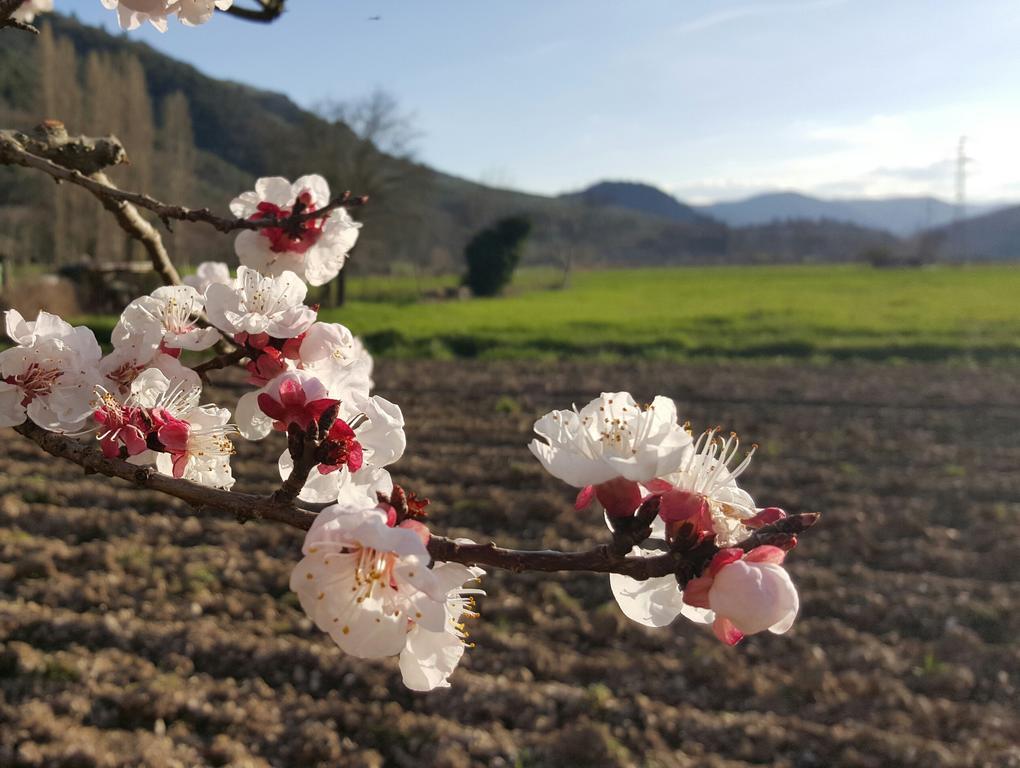 פרנטילו Agriturismo I Terzieri מראה חיצוני תמונה