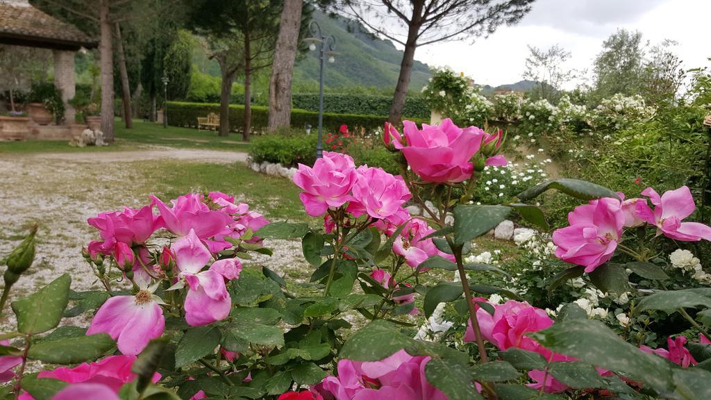 פרנטילו Agriturismo I Terzieri מראה חיצוני תמונה