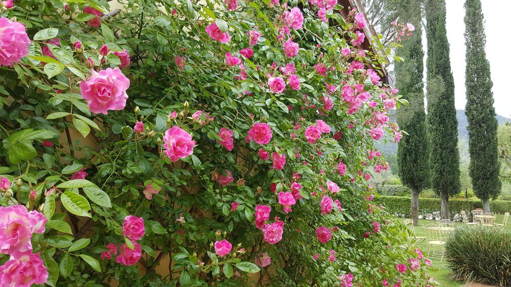 פרנטילו Agriturismo I Terzieri מראה חיצוני תמונה