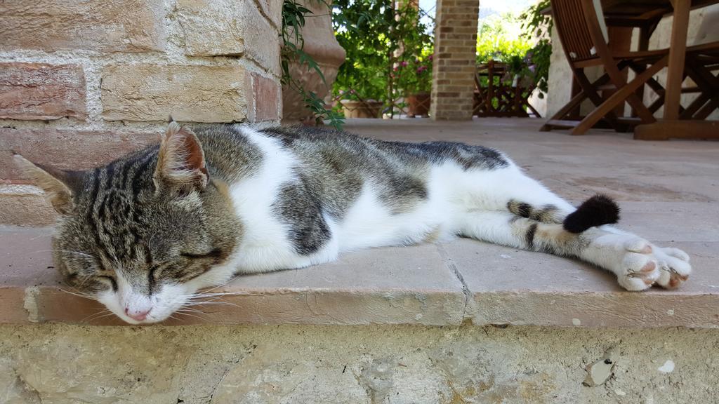 פרנטילו Agriturismo I Terzieri מראה חיצוני תמונה